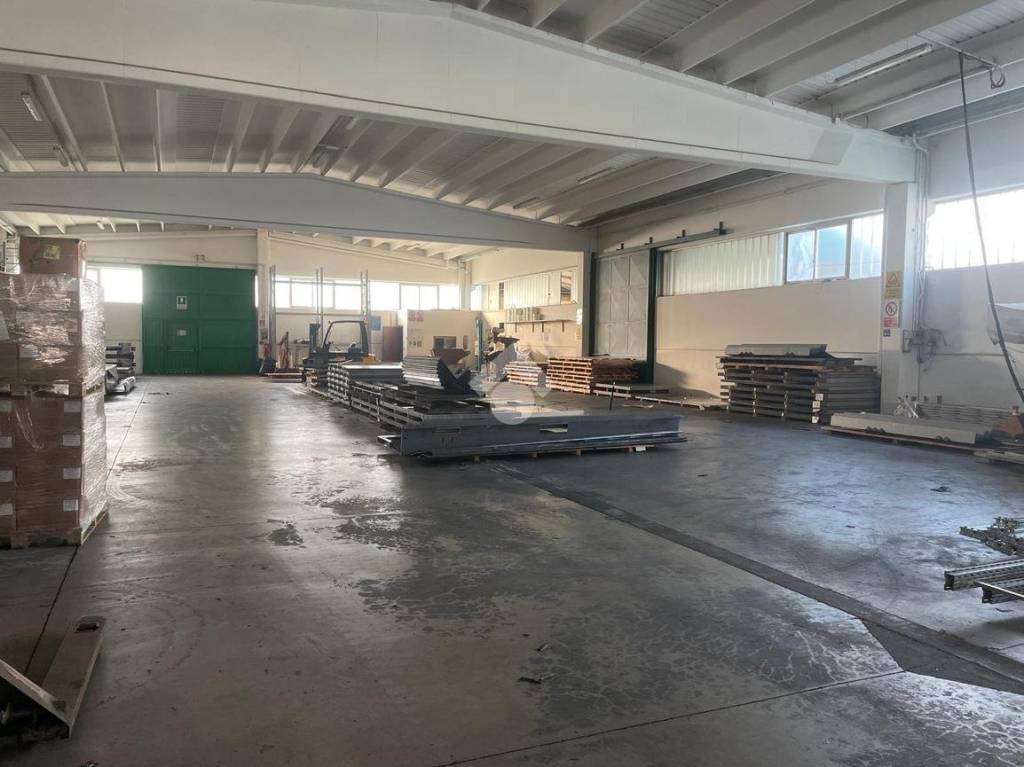 immagine annuncio 3 di 11