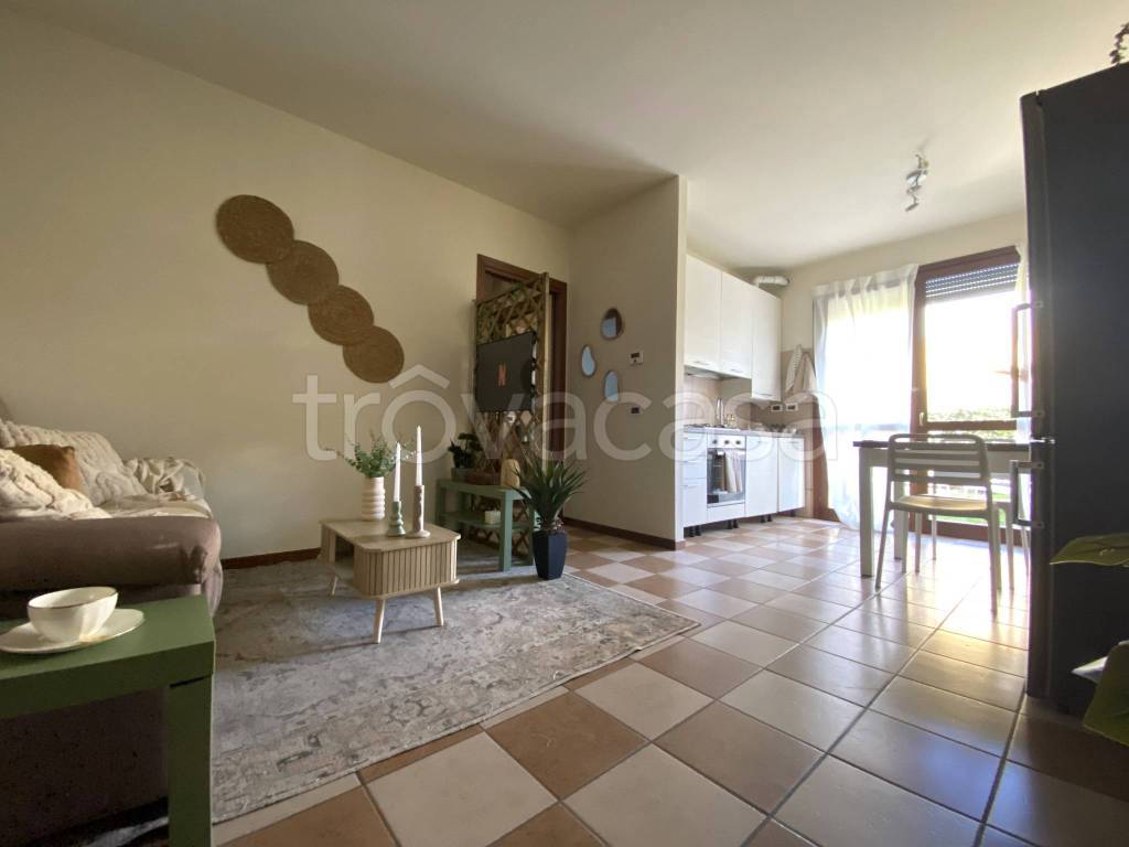 immagine annuncio 5 di 8