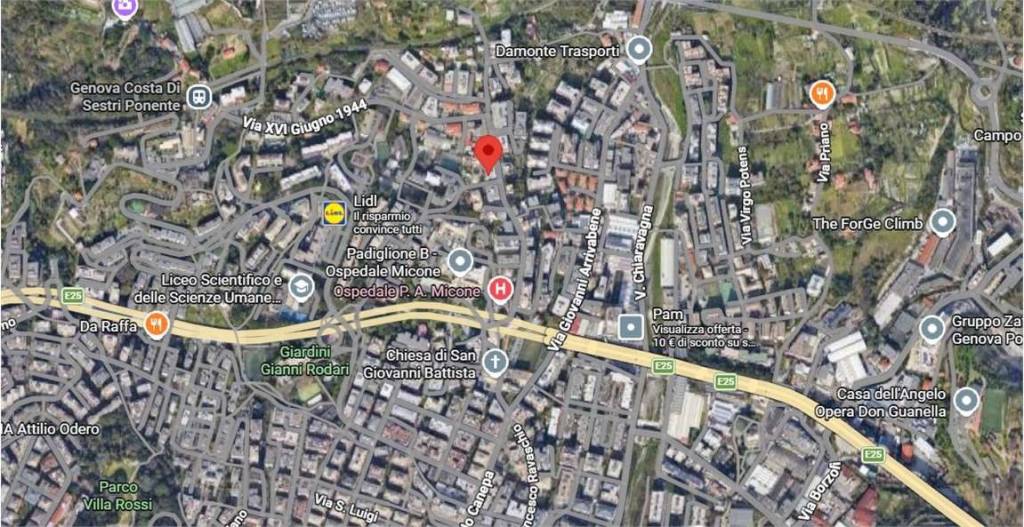 immagine annuncio 5 di 15