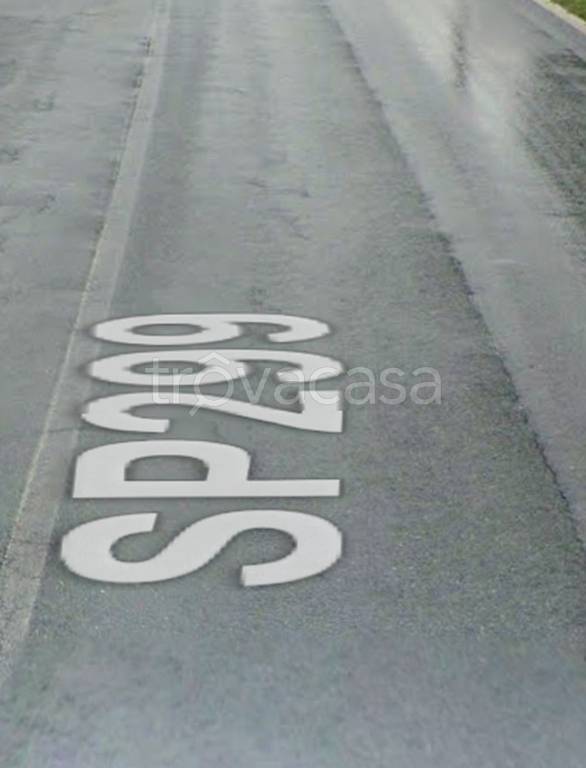 immagine annuncio 7 di 12