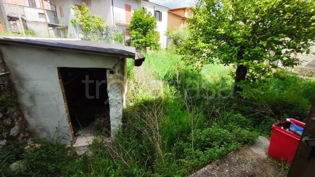 immagine annuncio 10 di 13