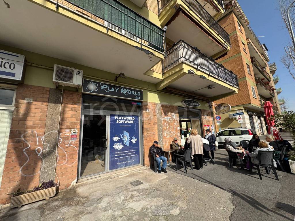 immagine annuncio 1 di 15