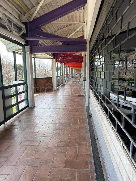 immagine annuncio 7 di 13