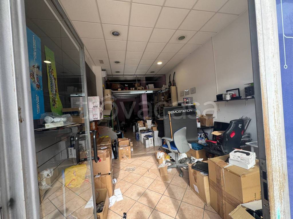 immagine annuncio 3 di 15