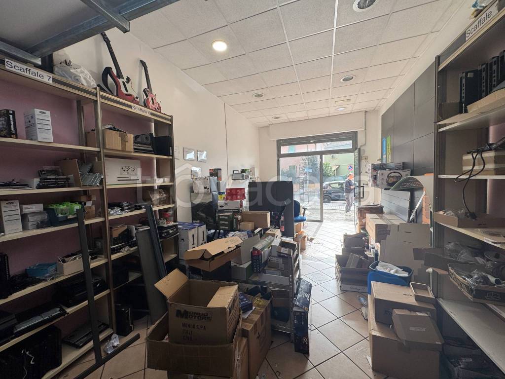 immagine annuncio 12 di 15