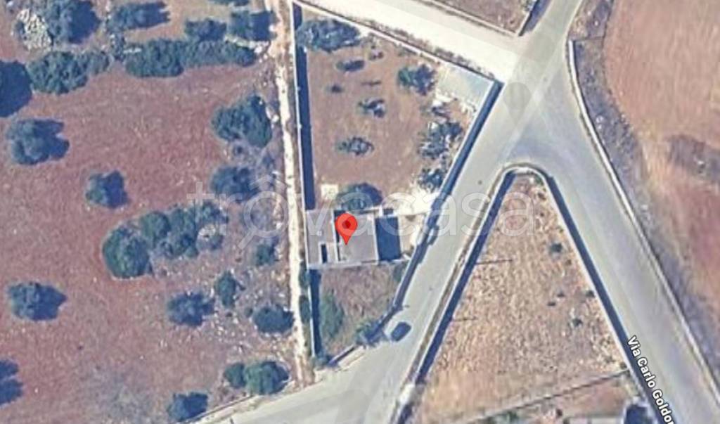 immagine annuncio 3 di 11