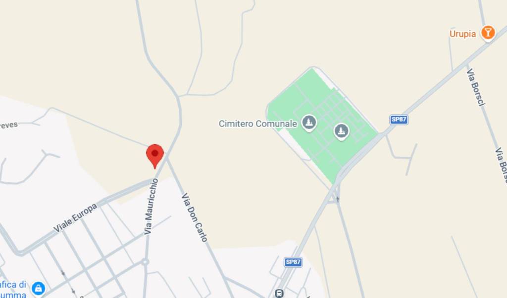 immagine annuncio 10 di 11