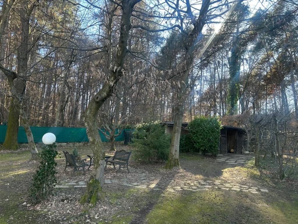 immagine annuncio 13 di 15