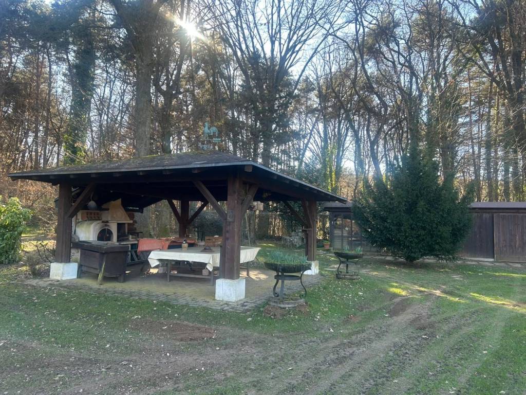 immagine annuncio 4 di 15