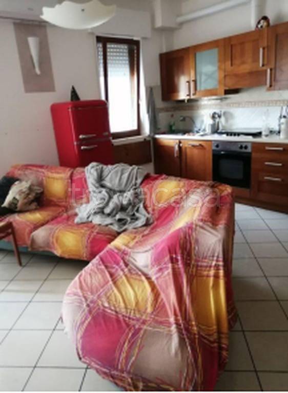 immagine annuncio 5 di 11