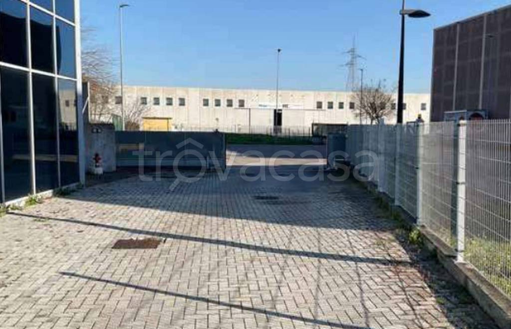 immagine annuncio 3 di 11