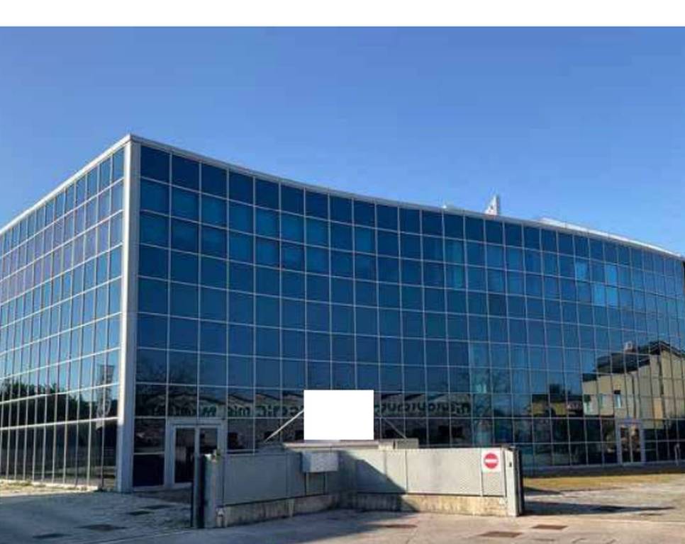 immagine annuncio 5 di 11