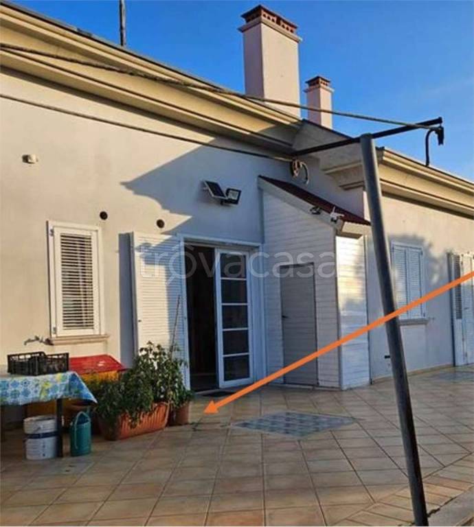 immagine annuncio 1 di 14