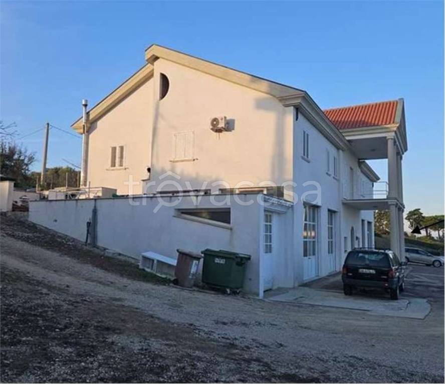 immagine annuncio 4 di 14