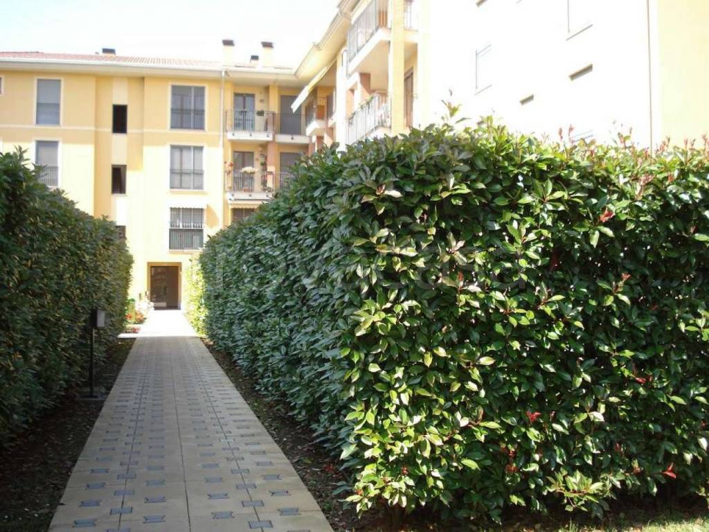 immagine annuncio 11 di 14