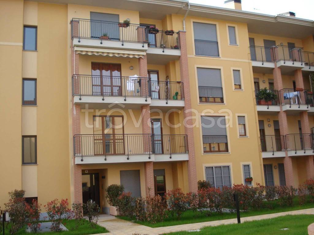 immagine annuncio 12 di 14