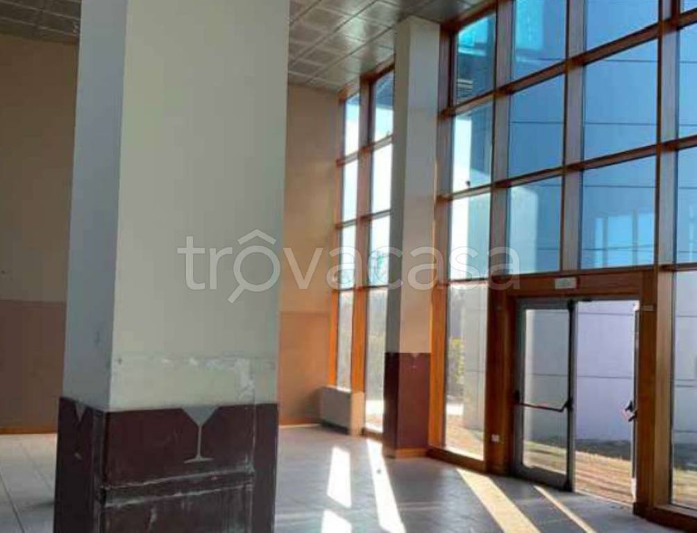 immagine annuncio 7 di 12