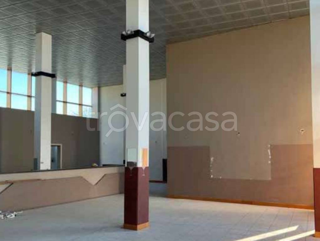 immagine annuncio 8 di 12