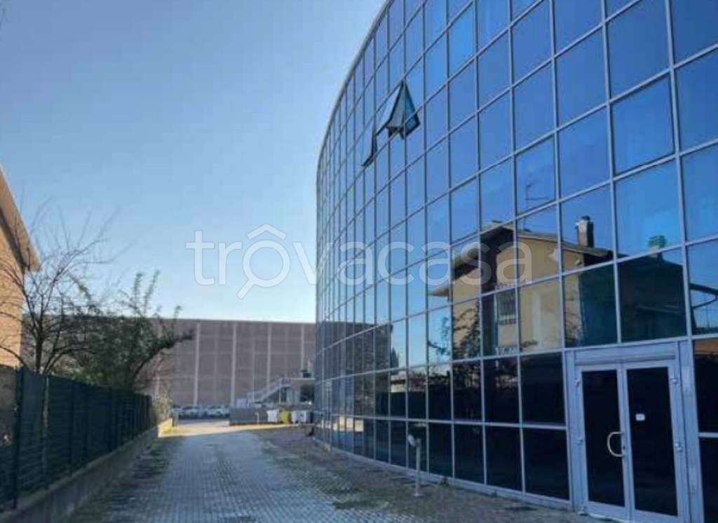 immagine annuncio 5 di 12