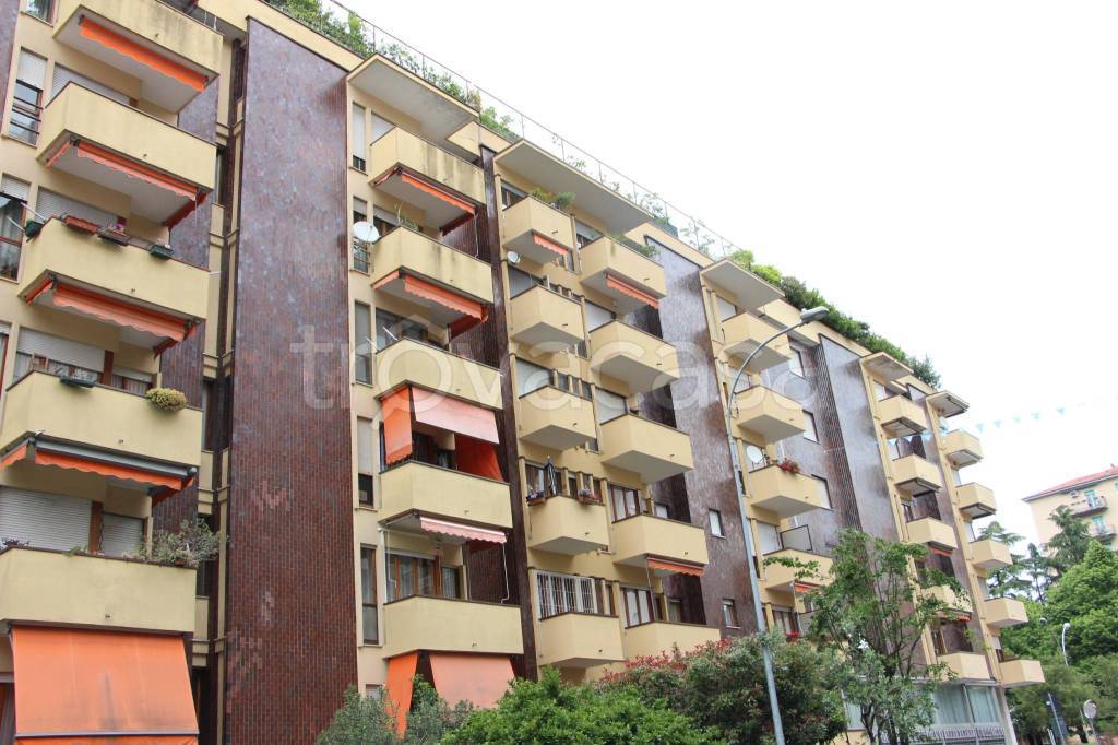 immagine annuncio 12 di 13