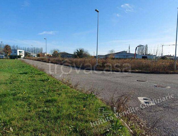 immagine annuncio 4 di 13