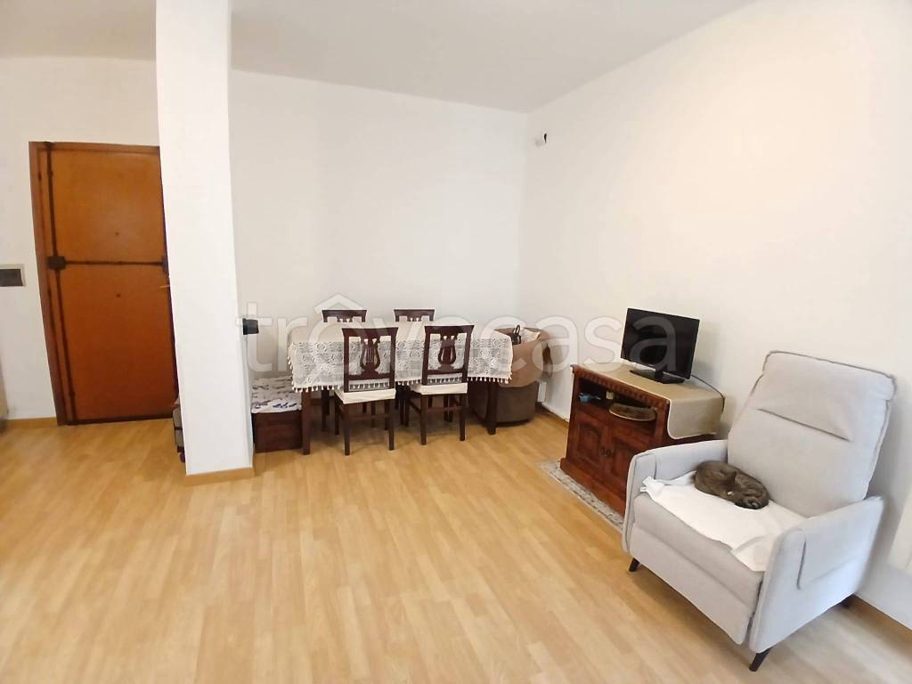 immagine annuncio 5 di 11