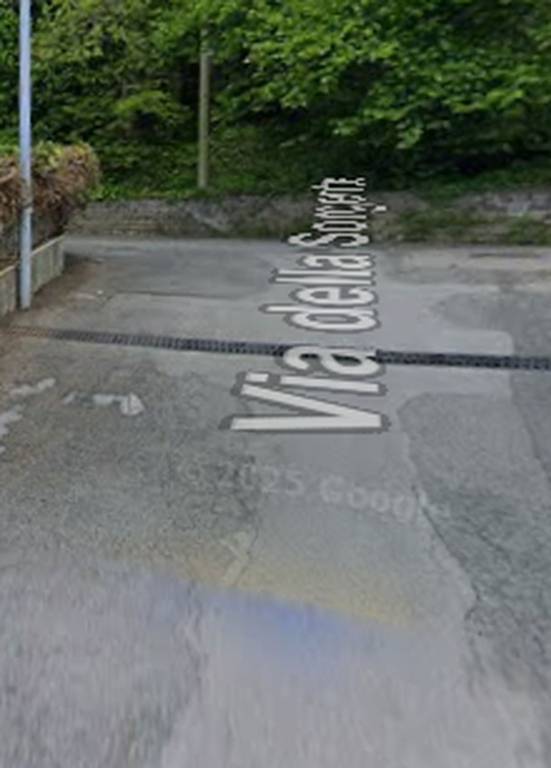 immagine annuncio 3 di 11