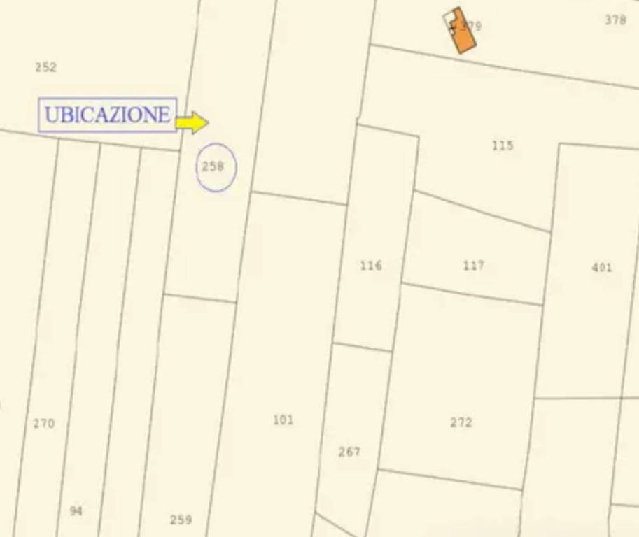 immagine annuncio 6 di 11