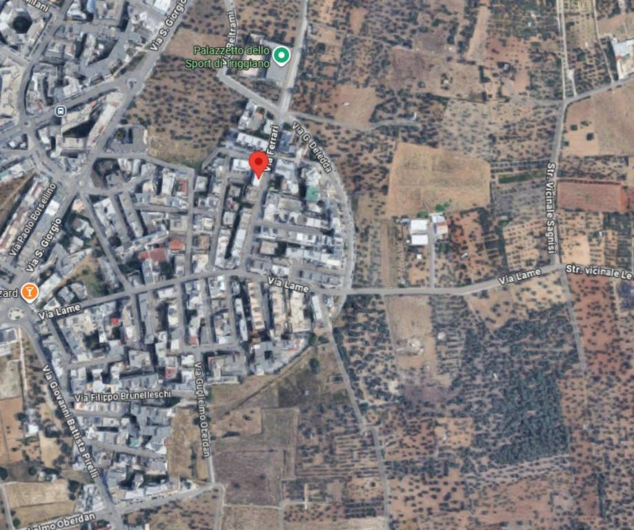 immagine annuncio 10 di 11