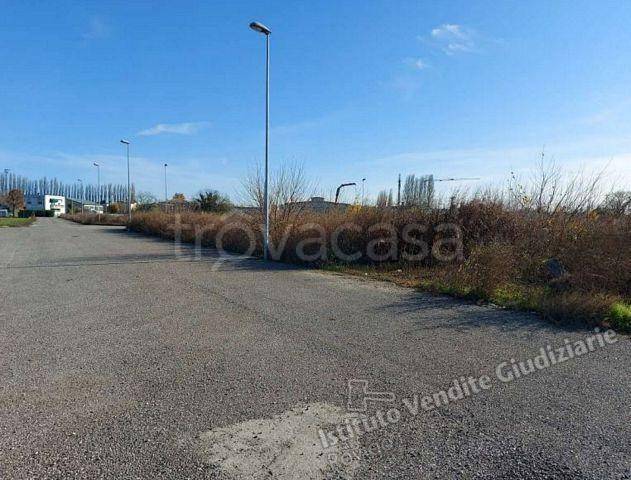 immagine annuncio 9 di 13