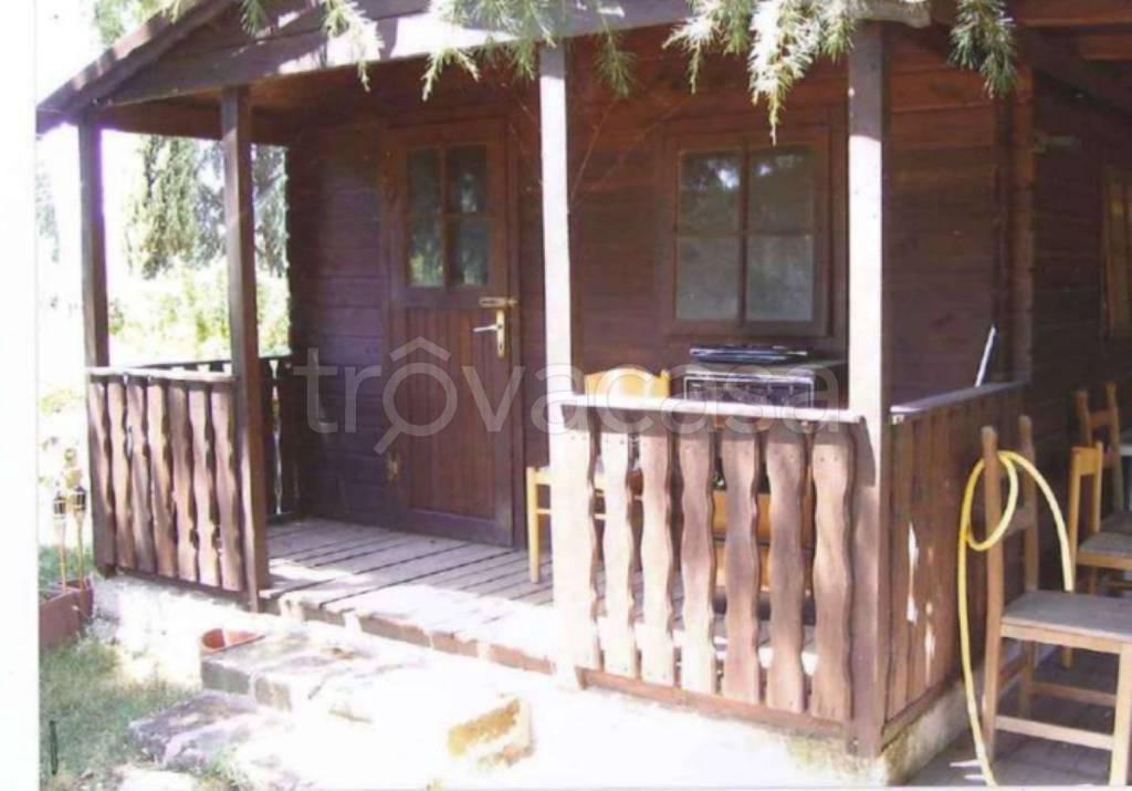 immagine annuncio 4 di 13