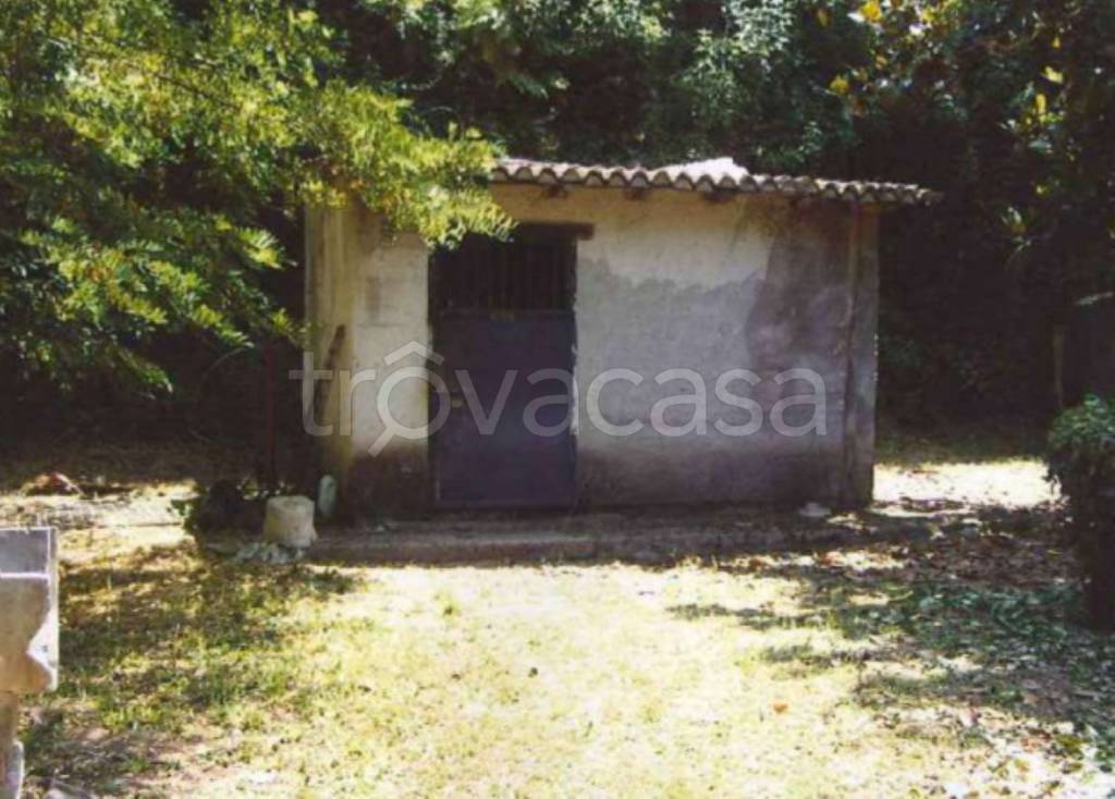 immagine annuncio 10 di 13