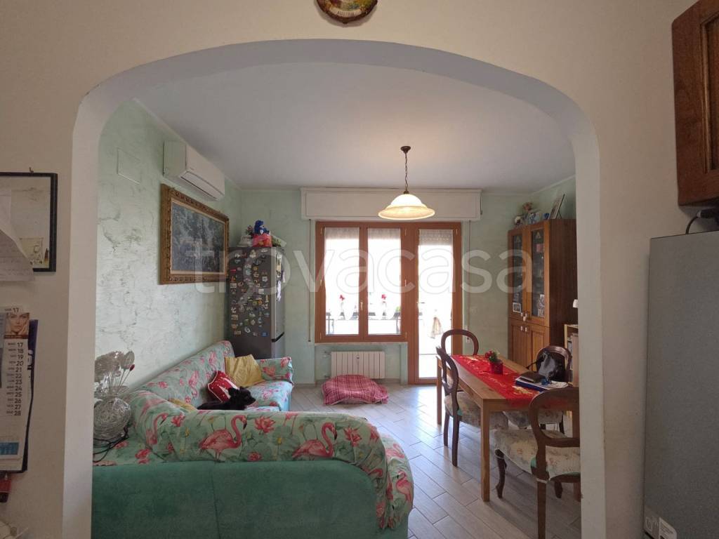 immagine annuncio 6 di 14