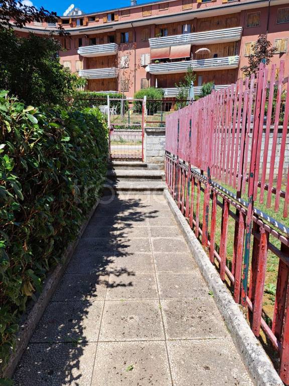 immagine annuncio 14 di 15