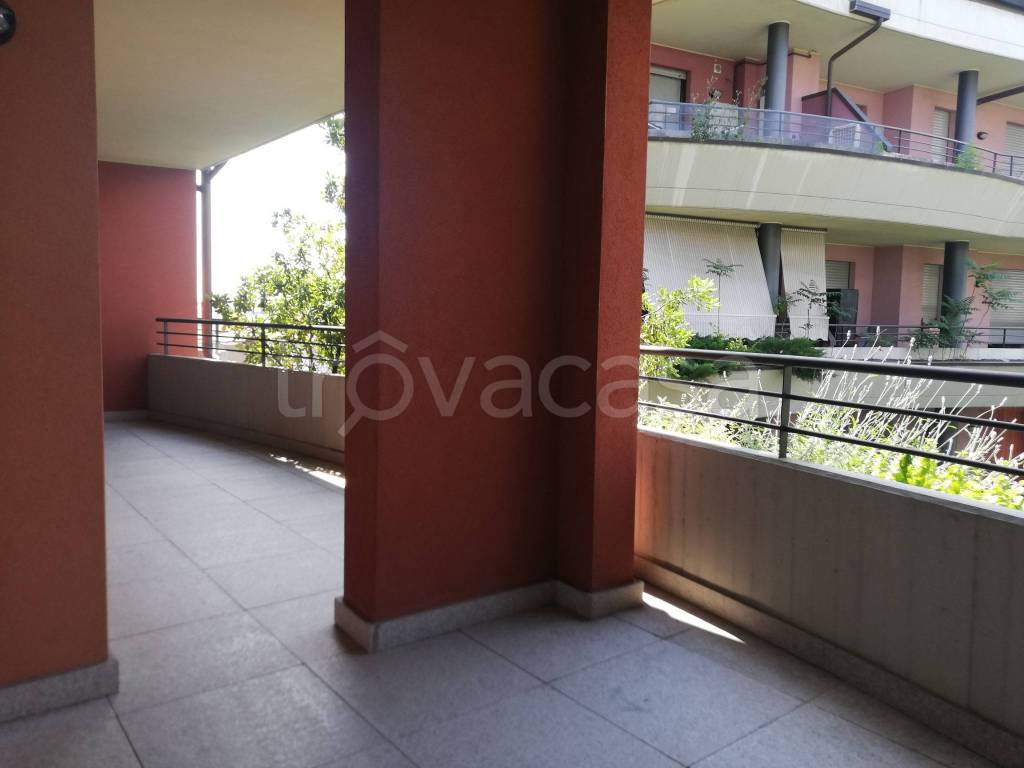 immagine annuncio 7 di 8