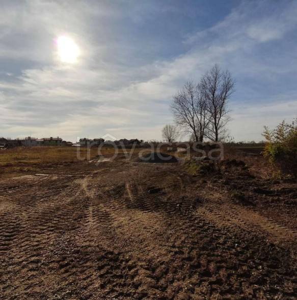 immagine annuncio 3 di 8