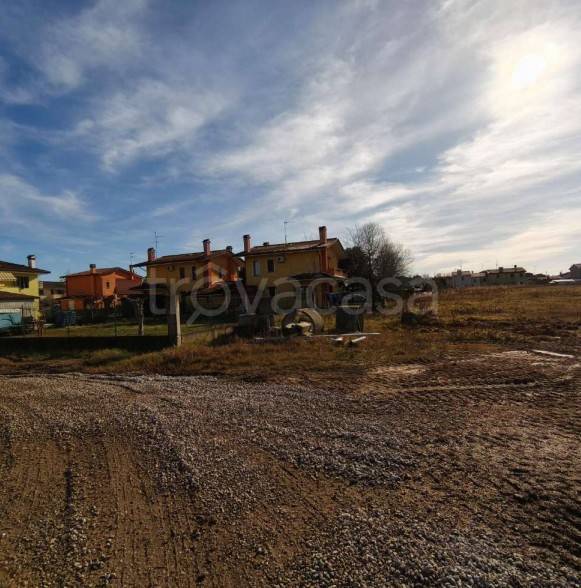 immagine annuncio 4 di 8