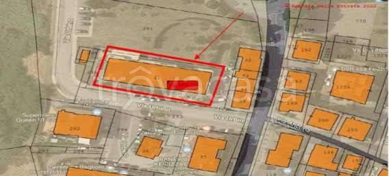 immagine annuncio 5 di 12