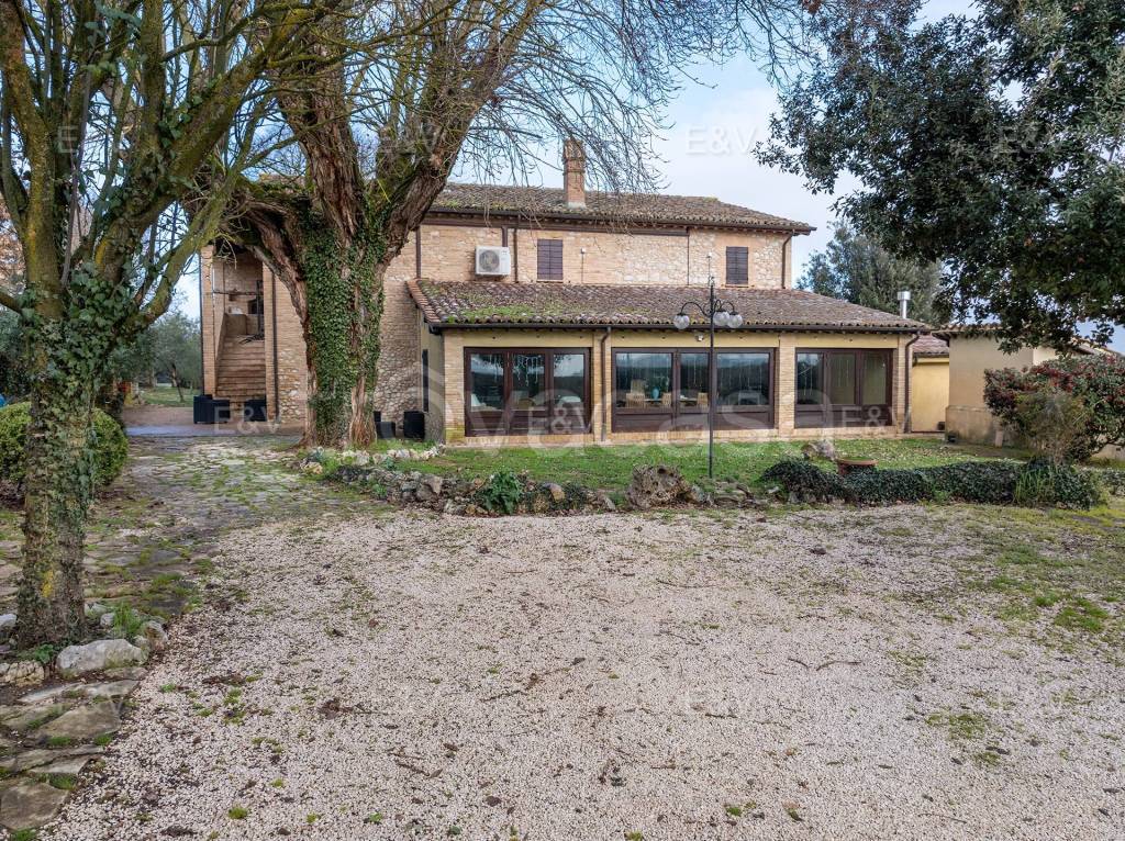 immagine annuncio 3 di 14