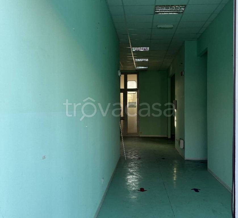 immagine annuncio 5 di 12