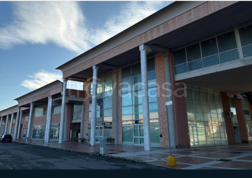 immagine annuncio 6 di 12