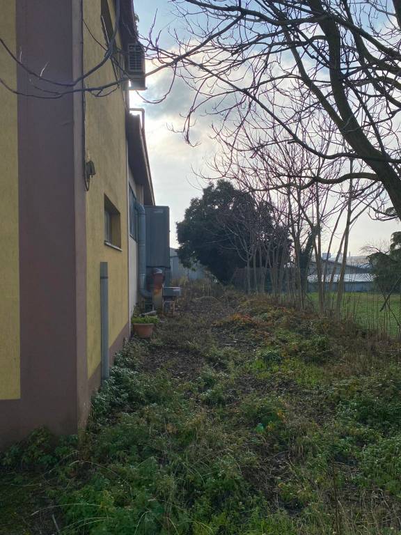 immagine annuncio 3 di 13