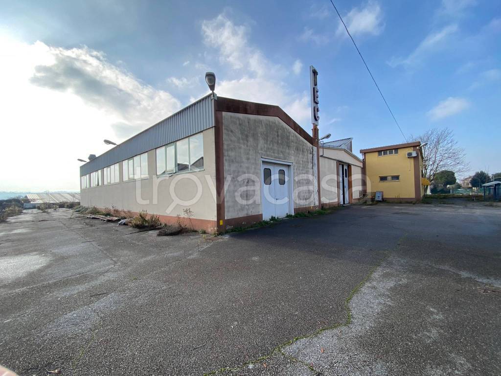 immagine annuncio 4 di 13