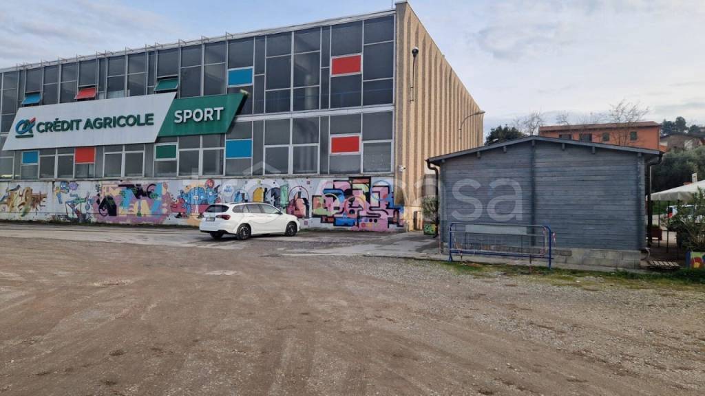 immagine annuncio 1 di 11