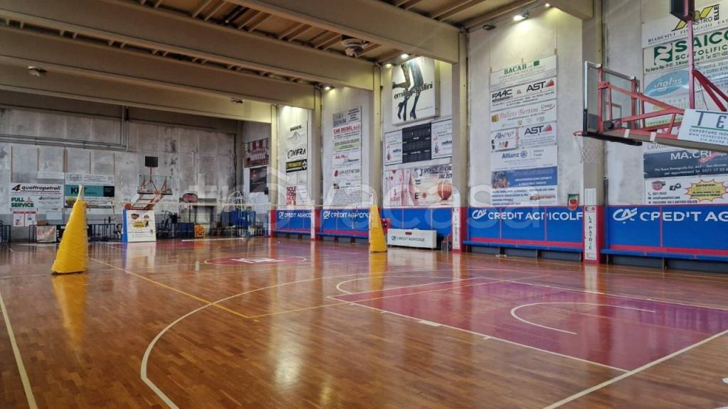 immagine annuncio 3 di 11