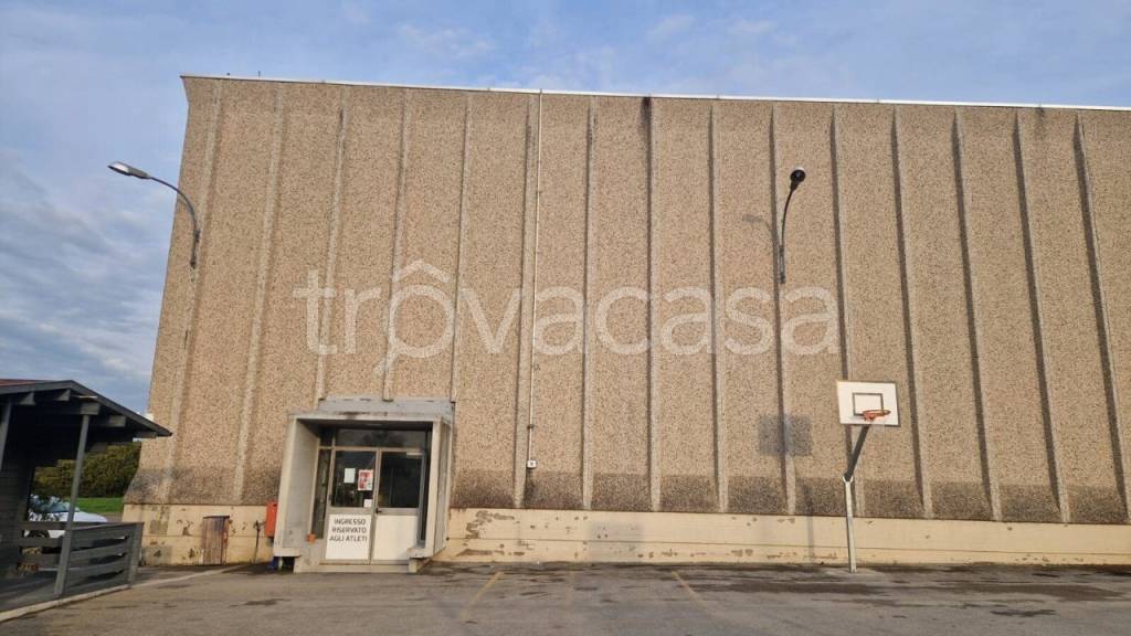 immagine annuncio 9 di 11