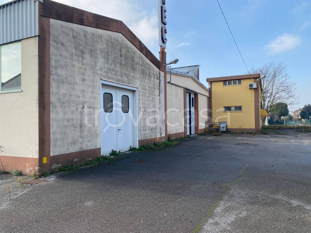 immagine annuncio 6 di 13