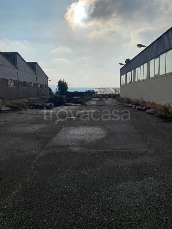 immagine annuncio 8 di 13