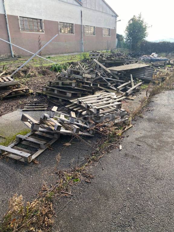 immagine annuncio 9 di 13