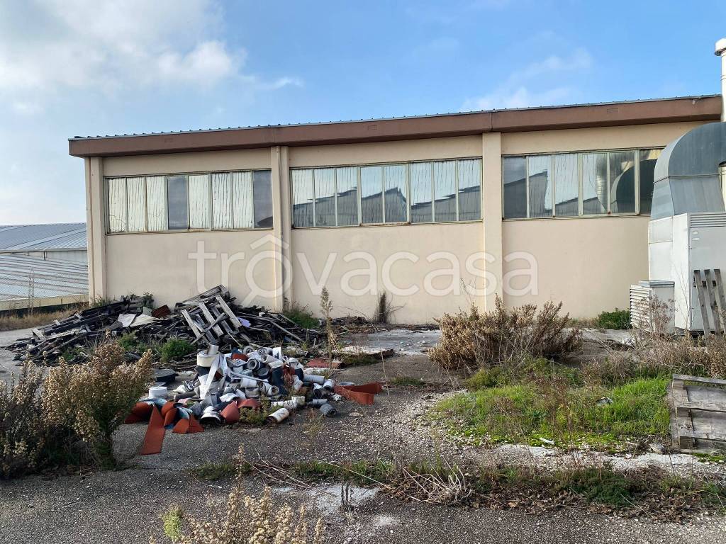 immagine annuncio 11 di 13